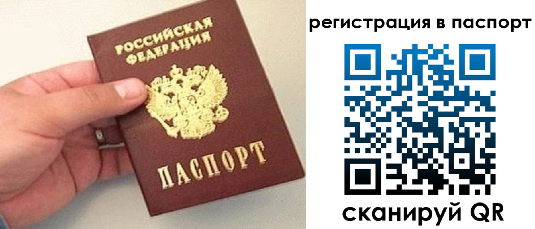 прописка законно в Грязовце